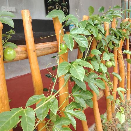 Nature Lovers Safari & Villa Uda Walawe Extérieur photo