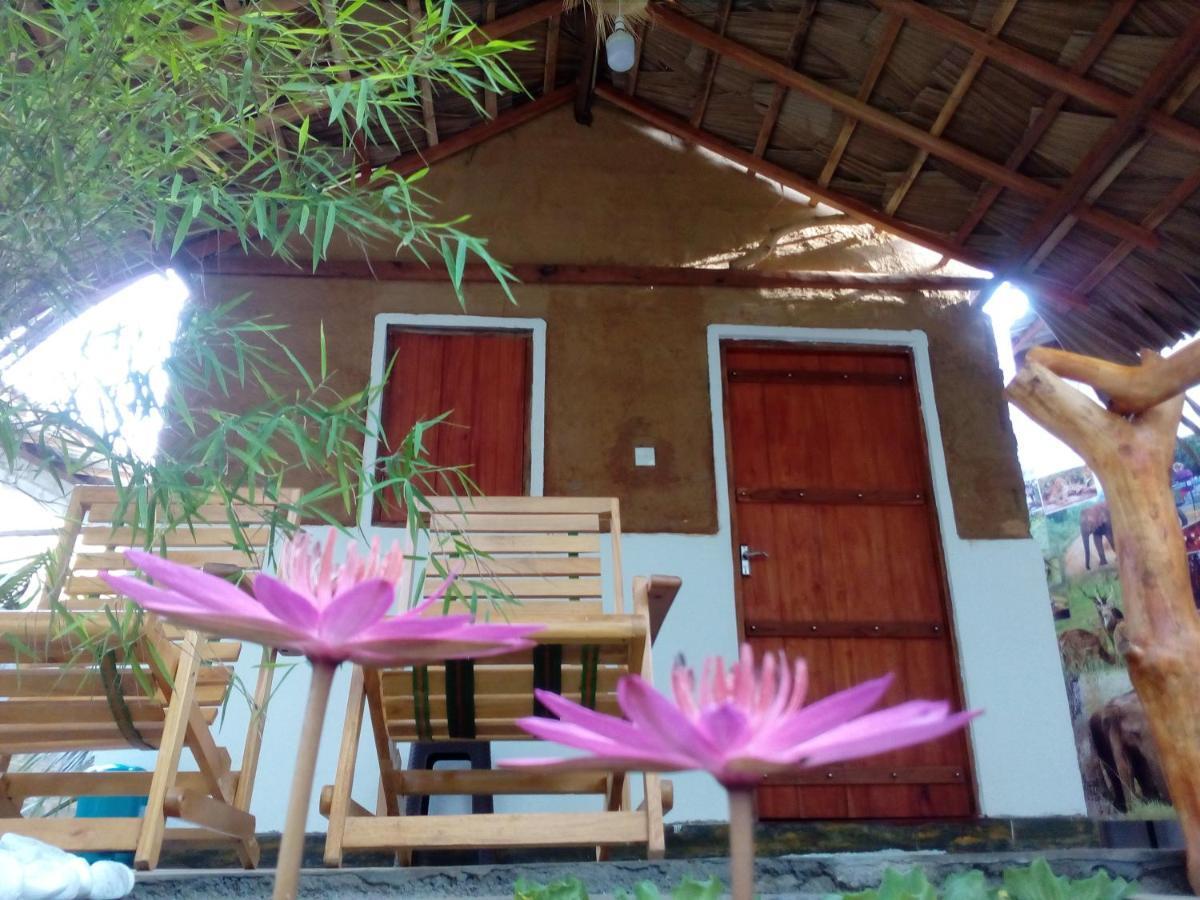 Nature Lovers Safari & Villa Uda Walawe Extérieur photo